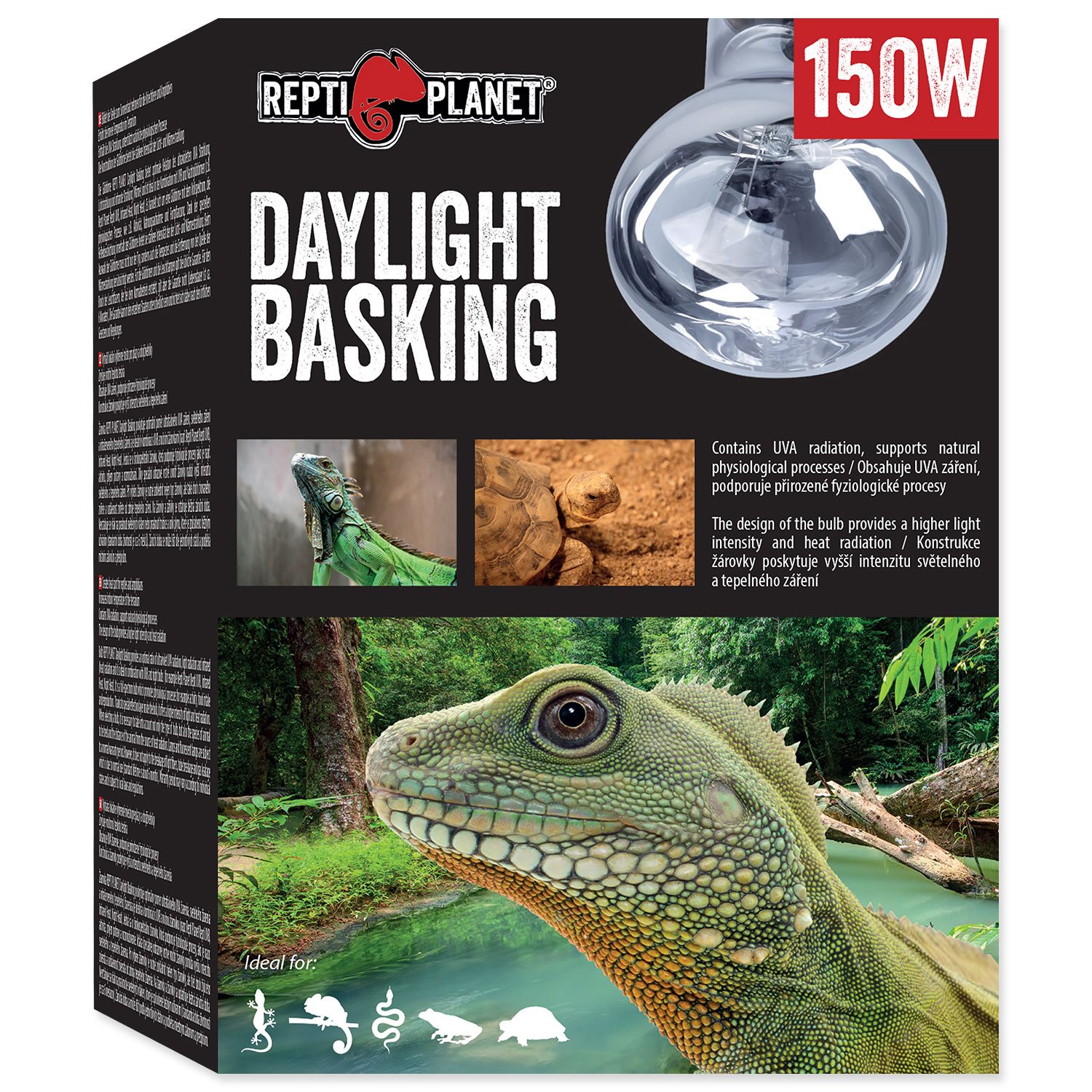 Daylight Basking