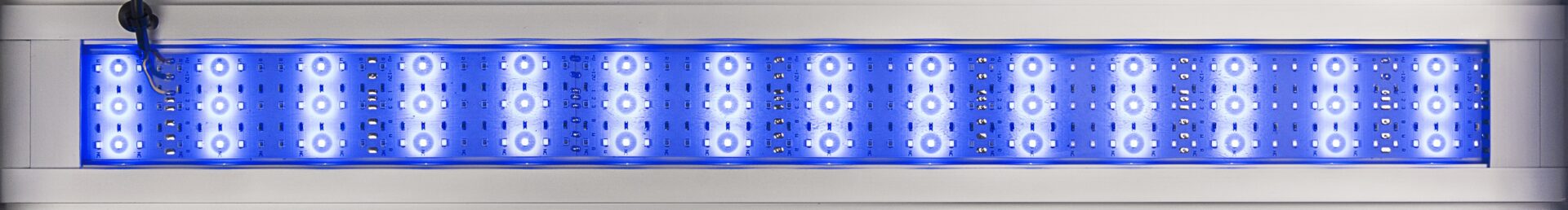 LED Alex Color