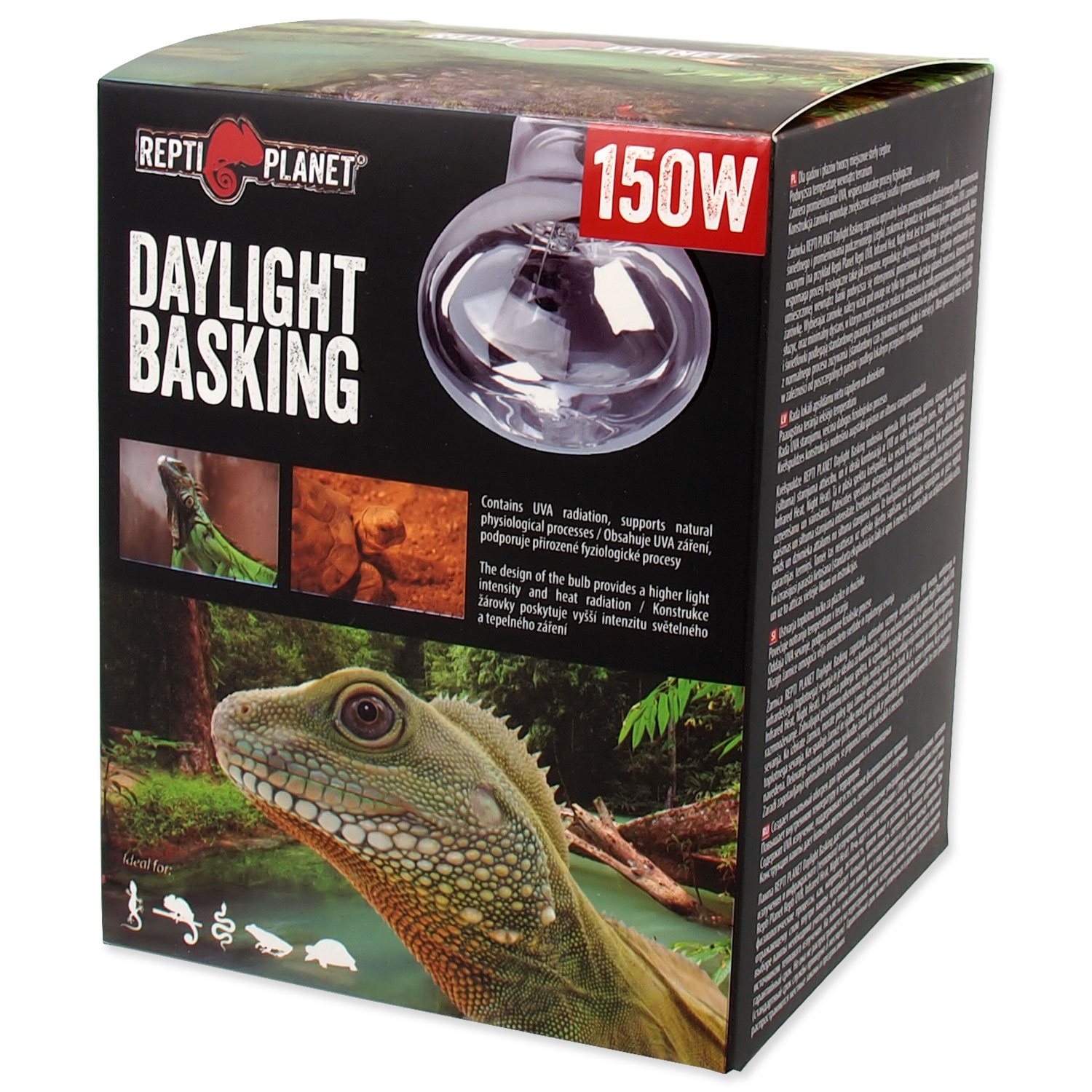 Daylight Basking