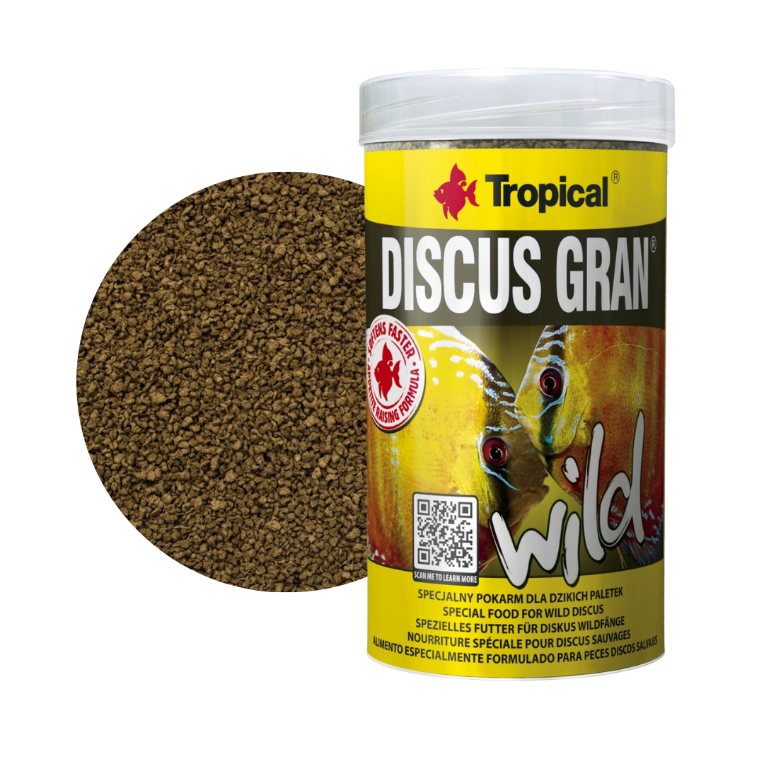 Discus Gran WILD