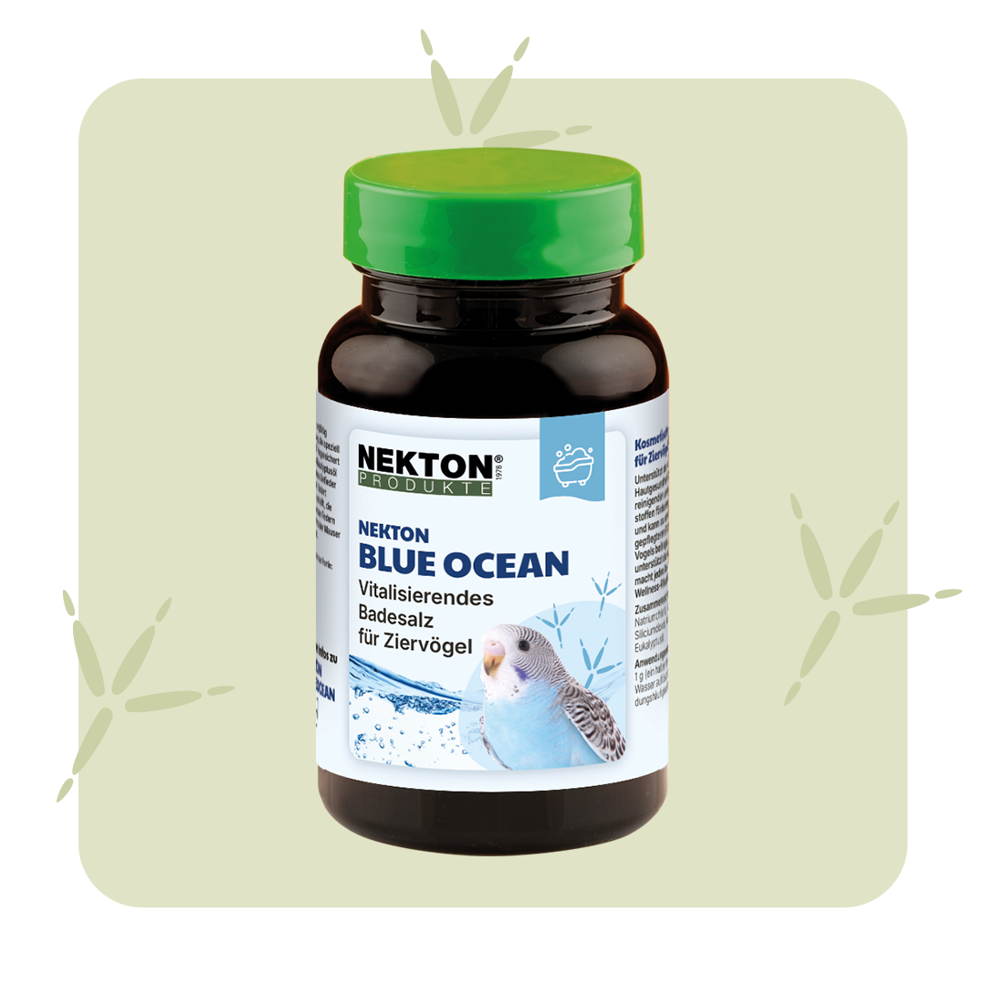 NEKTON-Blue-Ocean