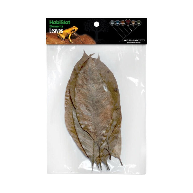 Rubber Leaves, 10er Pack