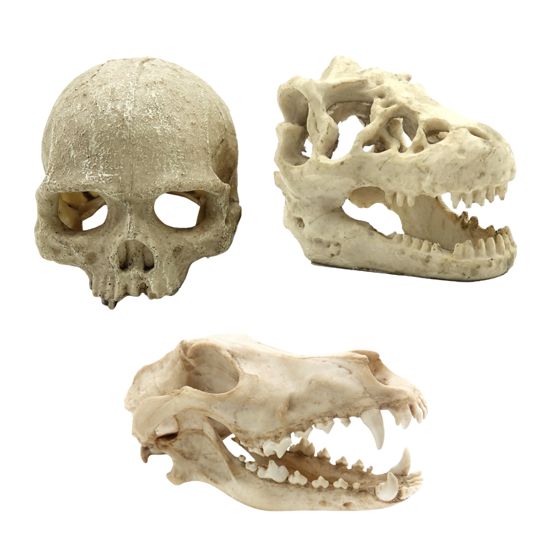 Terrariendekoration aus Epoxidharz