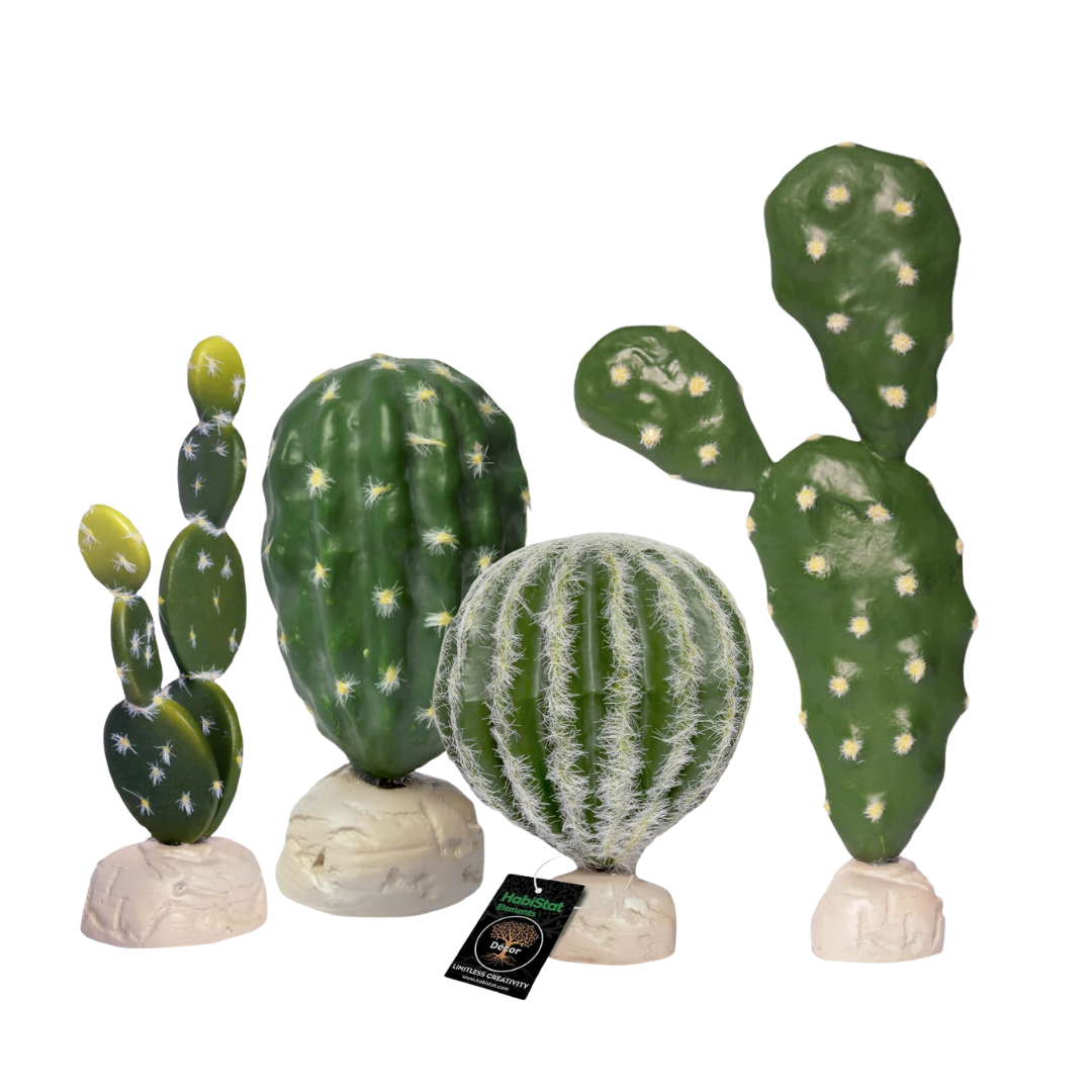 Cacti