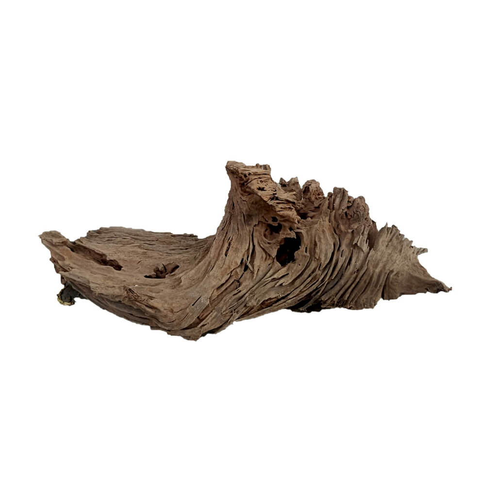 Driftwood