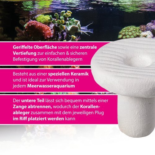 csm_MRF21__2__d2c758127f