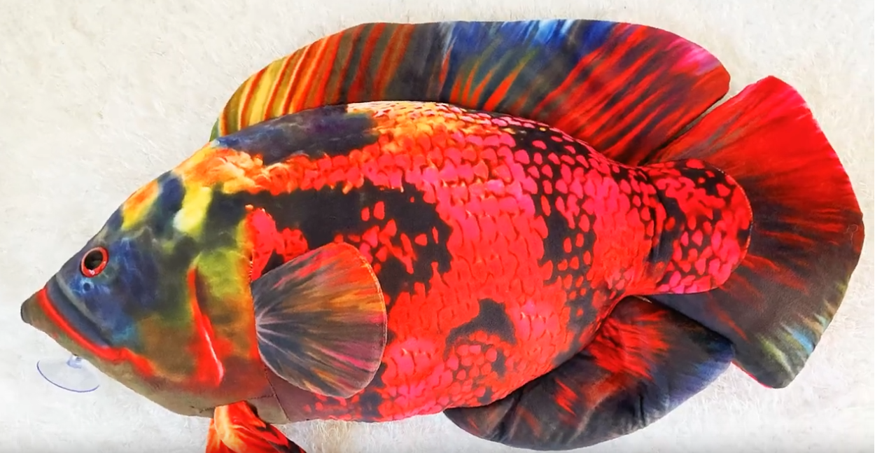 GreenPleco - Oscar fish red