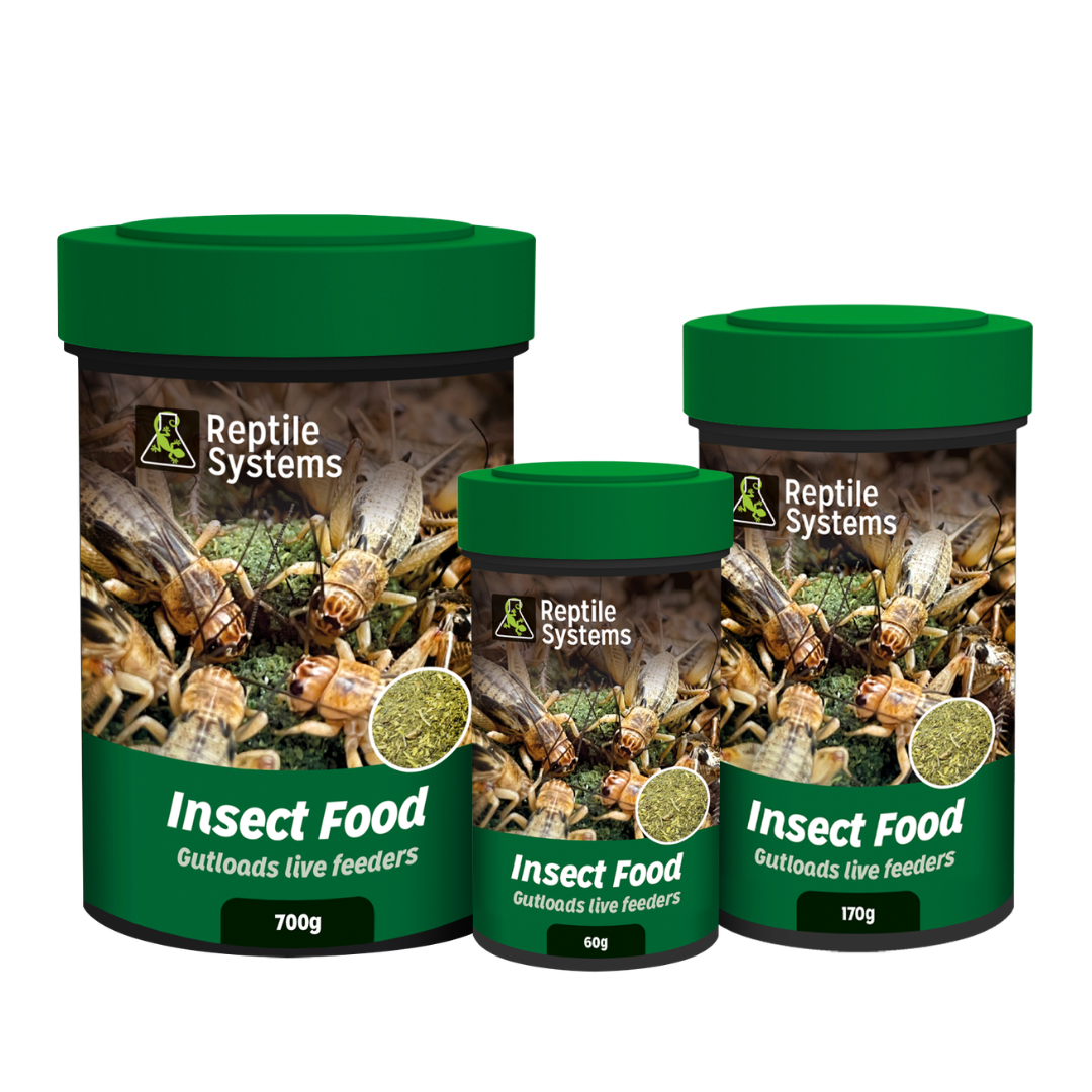 A la Carte Insect Food