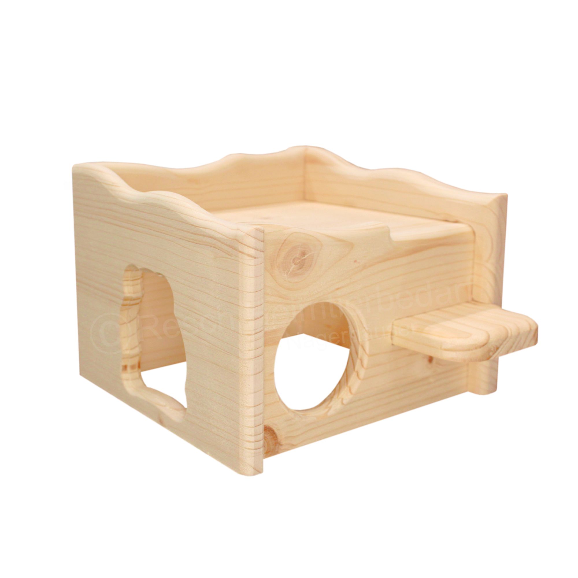 Hamsterruine