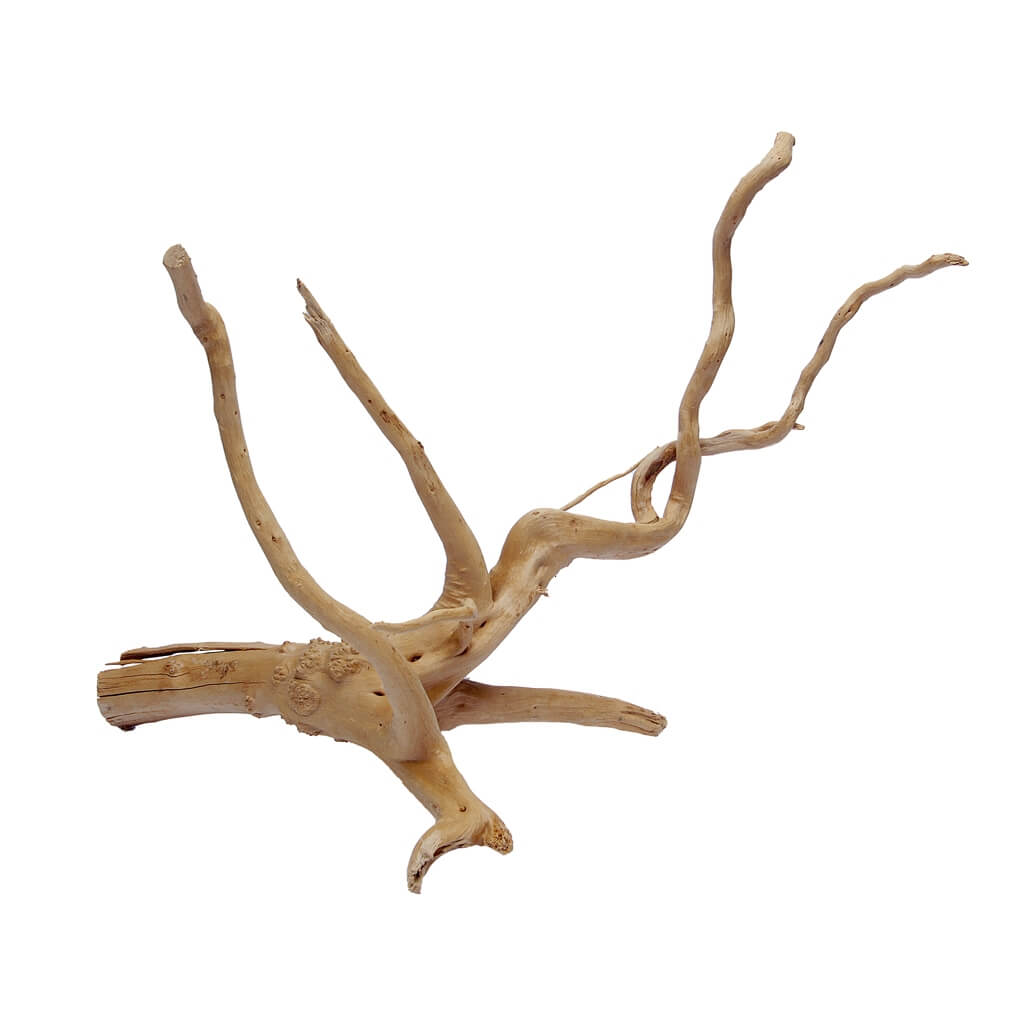 Desert Driftwood
