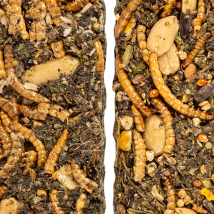 Naturals Sticks Insect