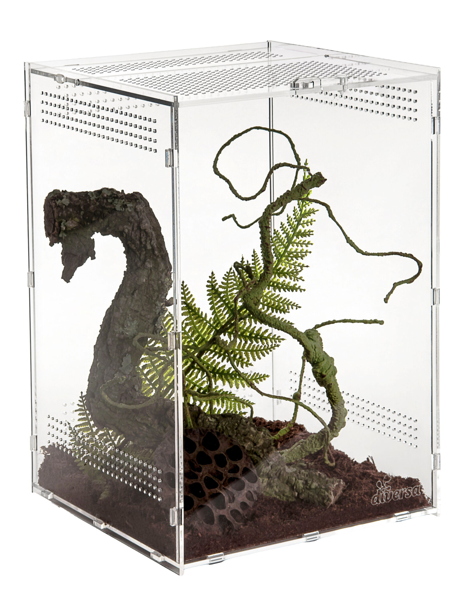 Acryl Terrarium