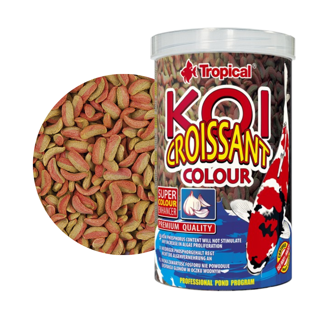 Koi Croissant Colour