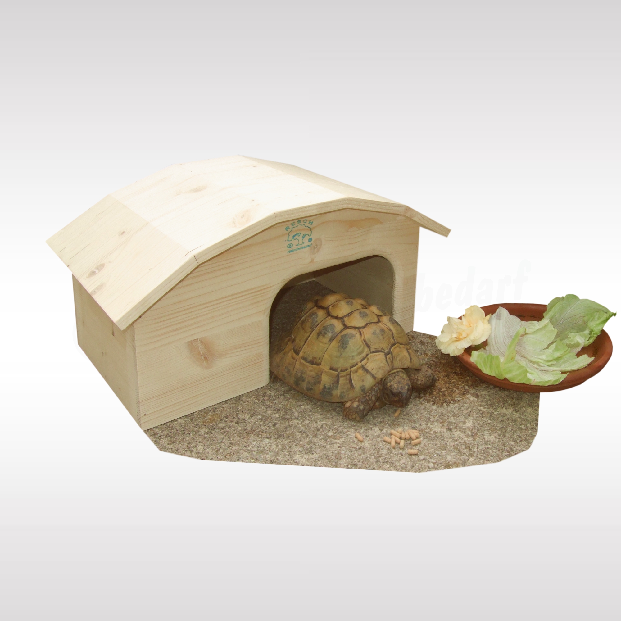 Schildkrötenhaus