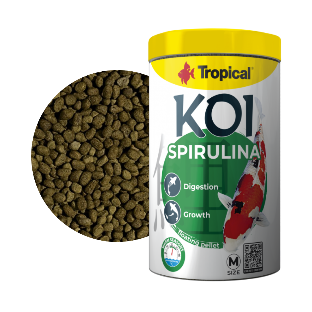 Koi Spirulina Pellet Size "M" & "L" Koi Spirulina Pellet Size "M" & "L"