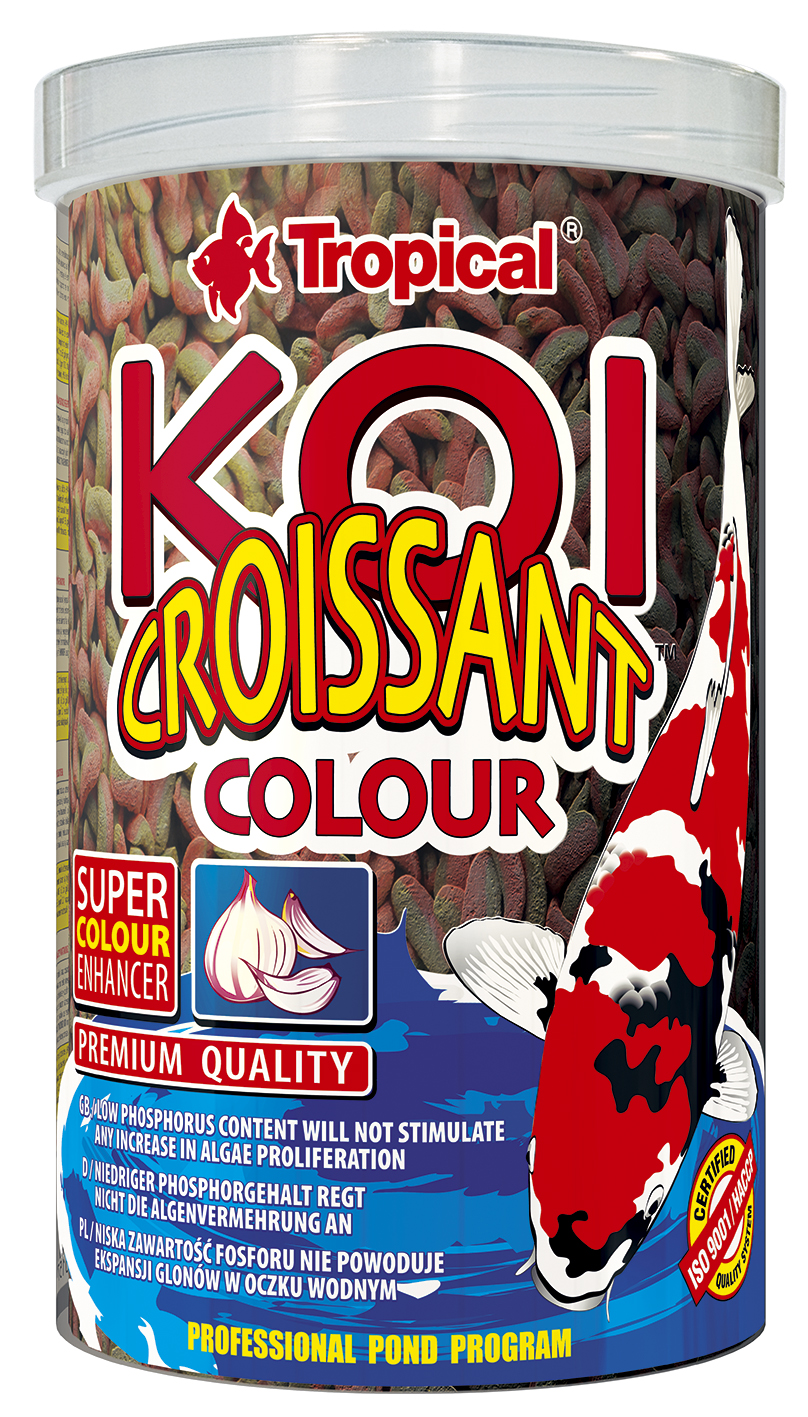 Koi Croissant Colour