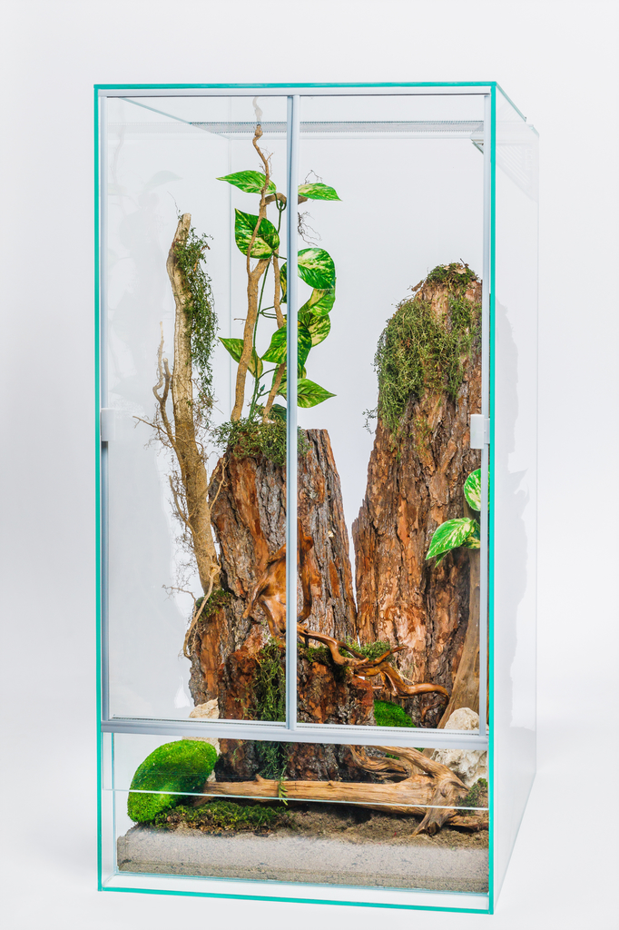 diversa-nowe-terrarium-wysokie-100x50x50_758 Hochterrarium