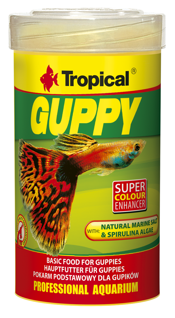 Guppy