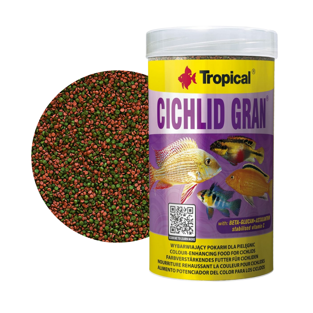 Cichlid Gran