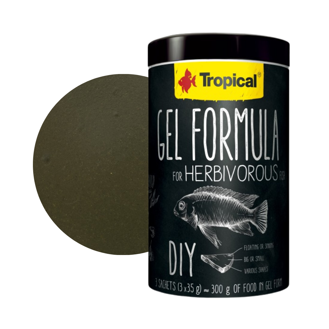 Gel Formula Herbivorous (DIY - Do it yourself Futtergelee)
