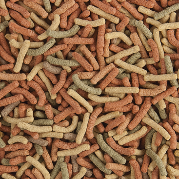 pond-sticks-mixed-100