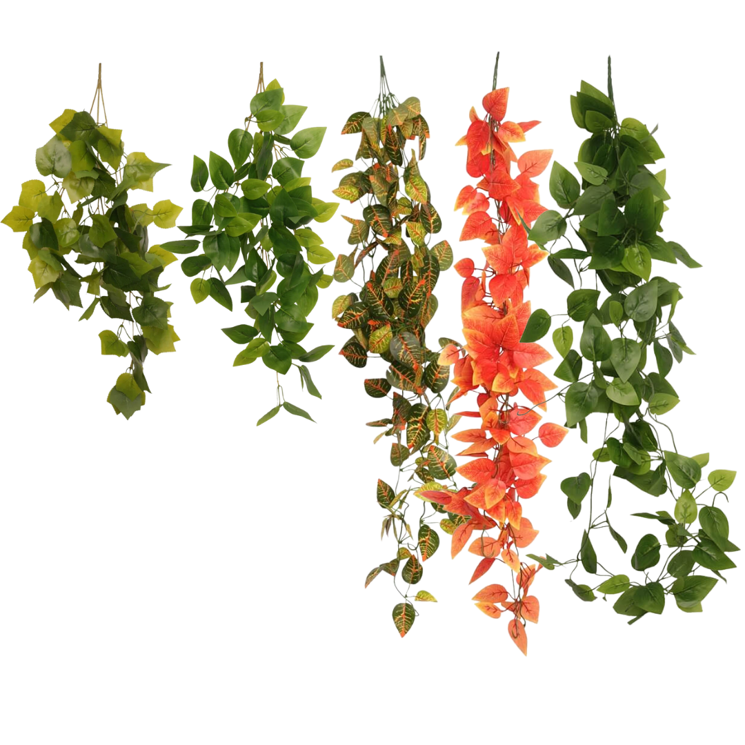 Hanging Vine