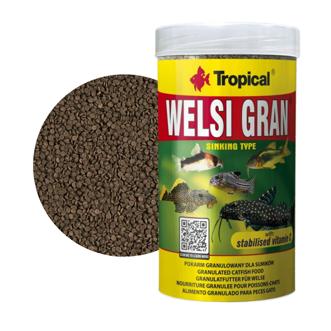 Welsi Gran
