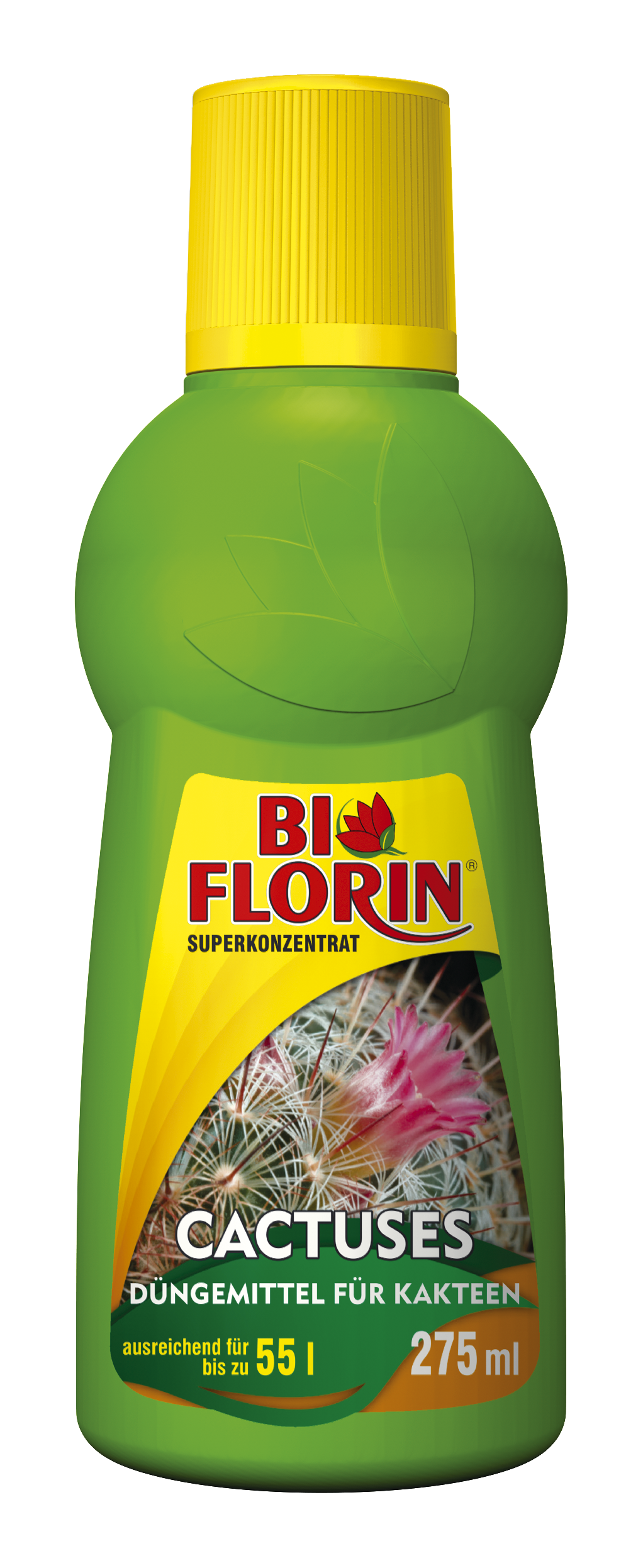 Bi Florin CACTUSES