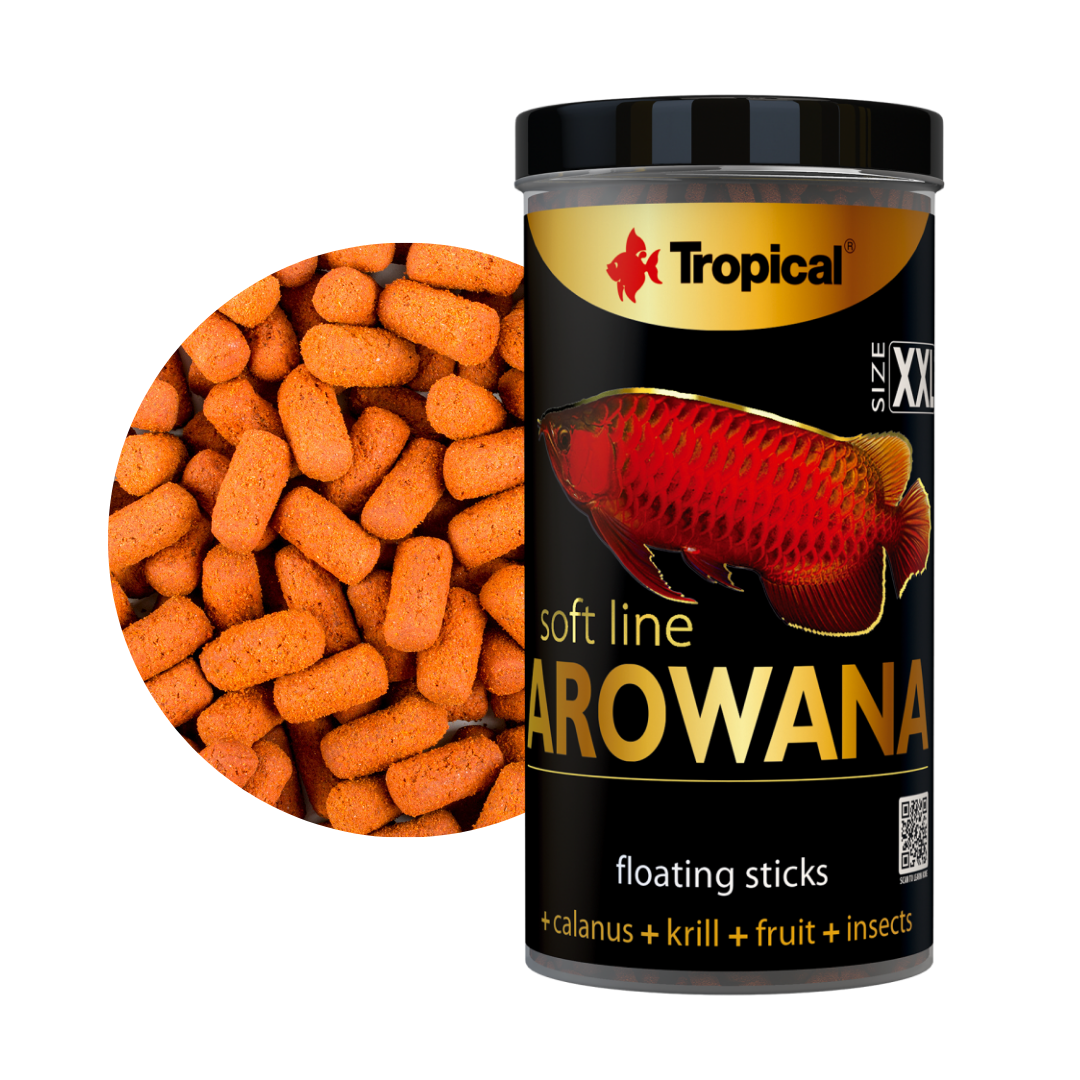Soft Line Arowana Size XXL