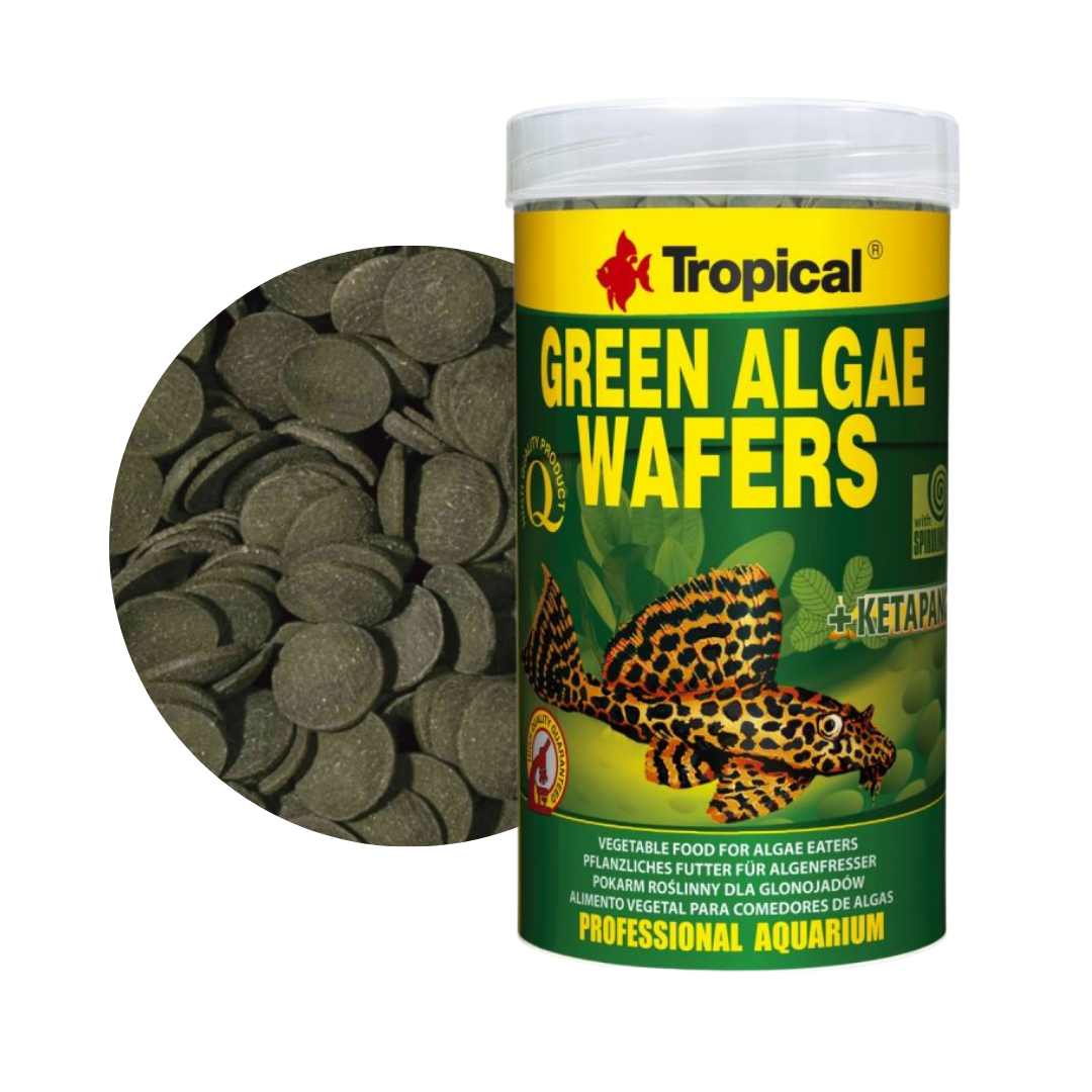 Green Algae Wafers
