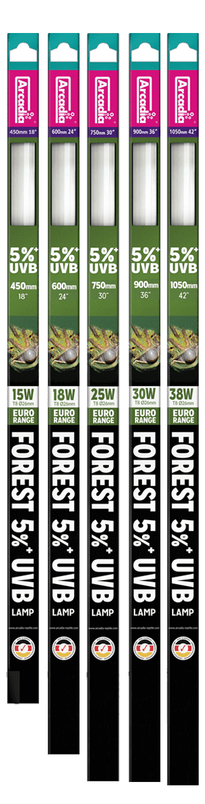 euro-range-lamps-packs-forest T8 Euro Range Forest 5% UV-B