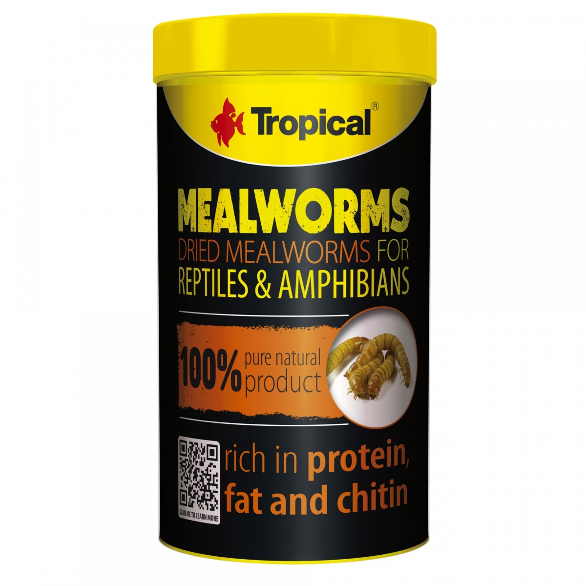 Mealworms (Mehlwürmer)