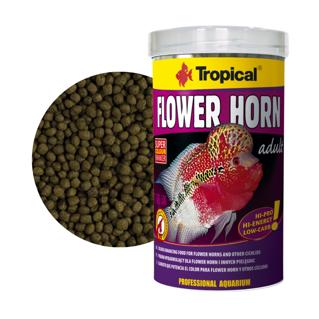 Flower Horn Adult Pellet
