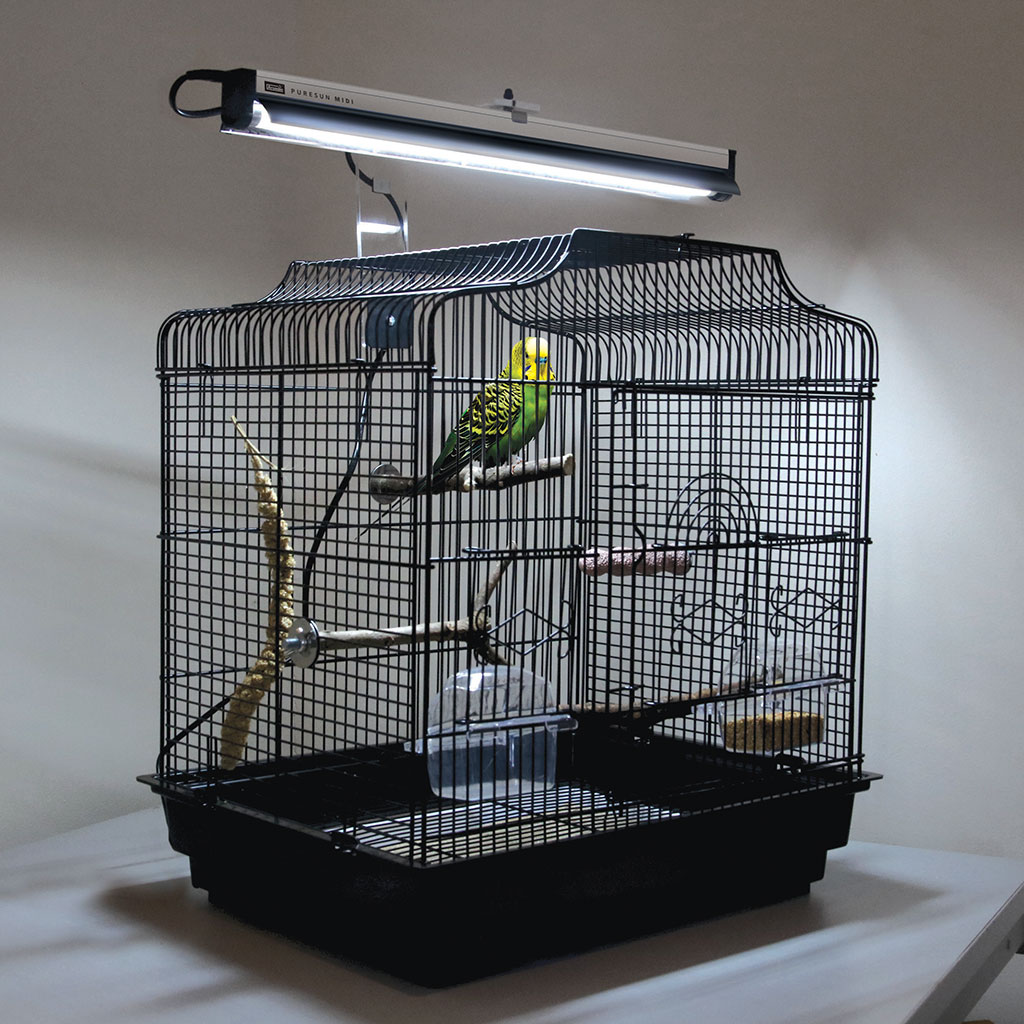 CPSMIN14-cage