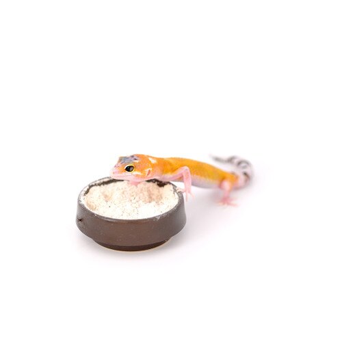 Calci Dish