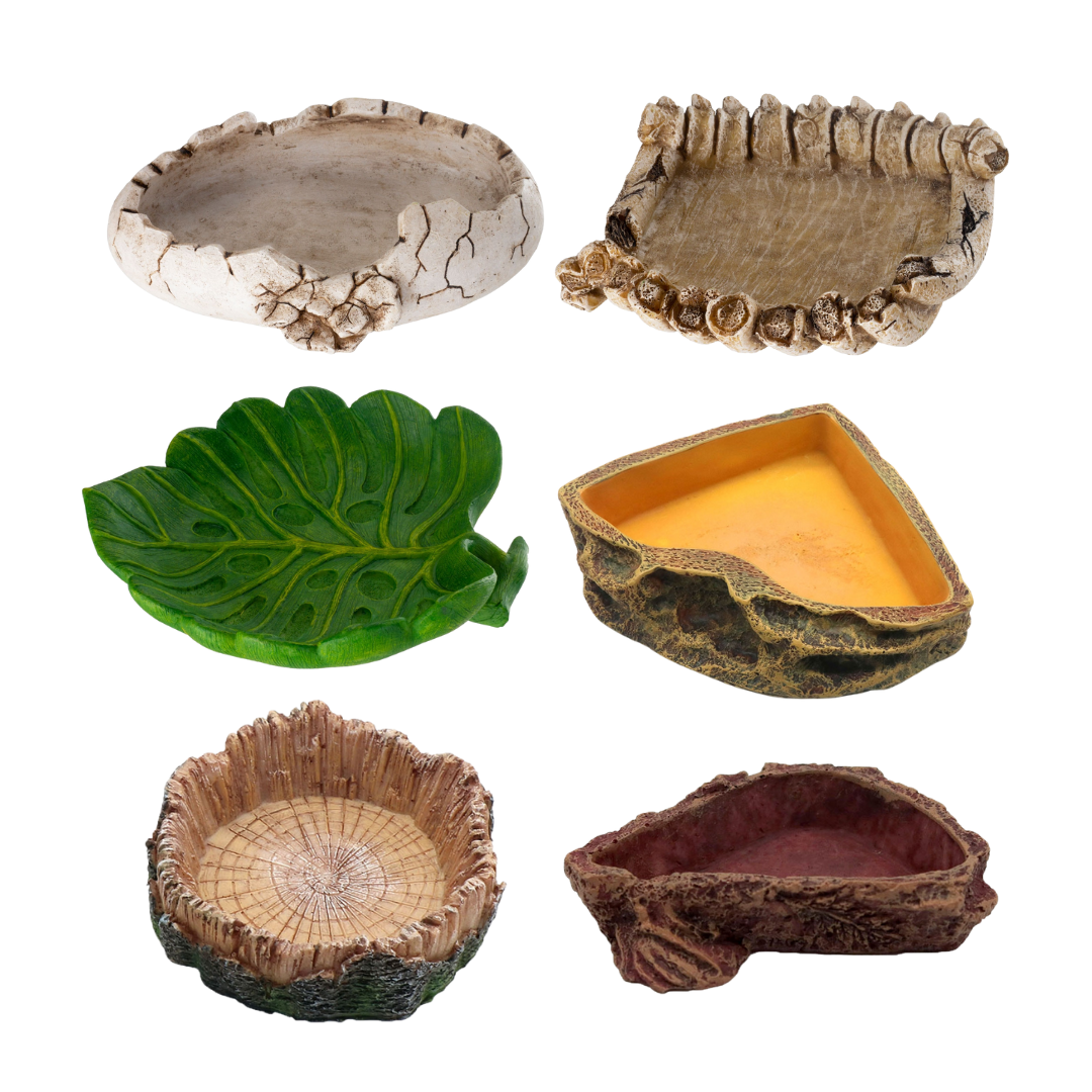 Terrarienschale aus Epoxidharz