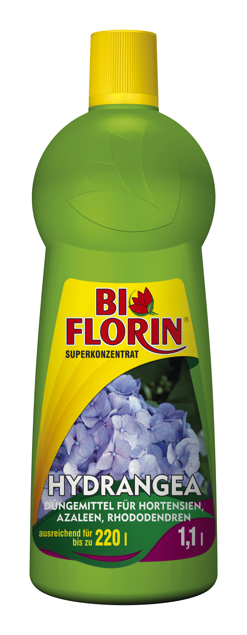 Bi Florin HYDRANGEA