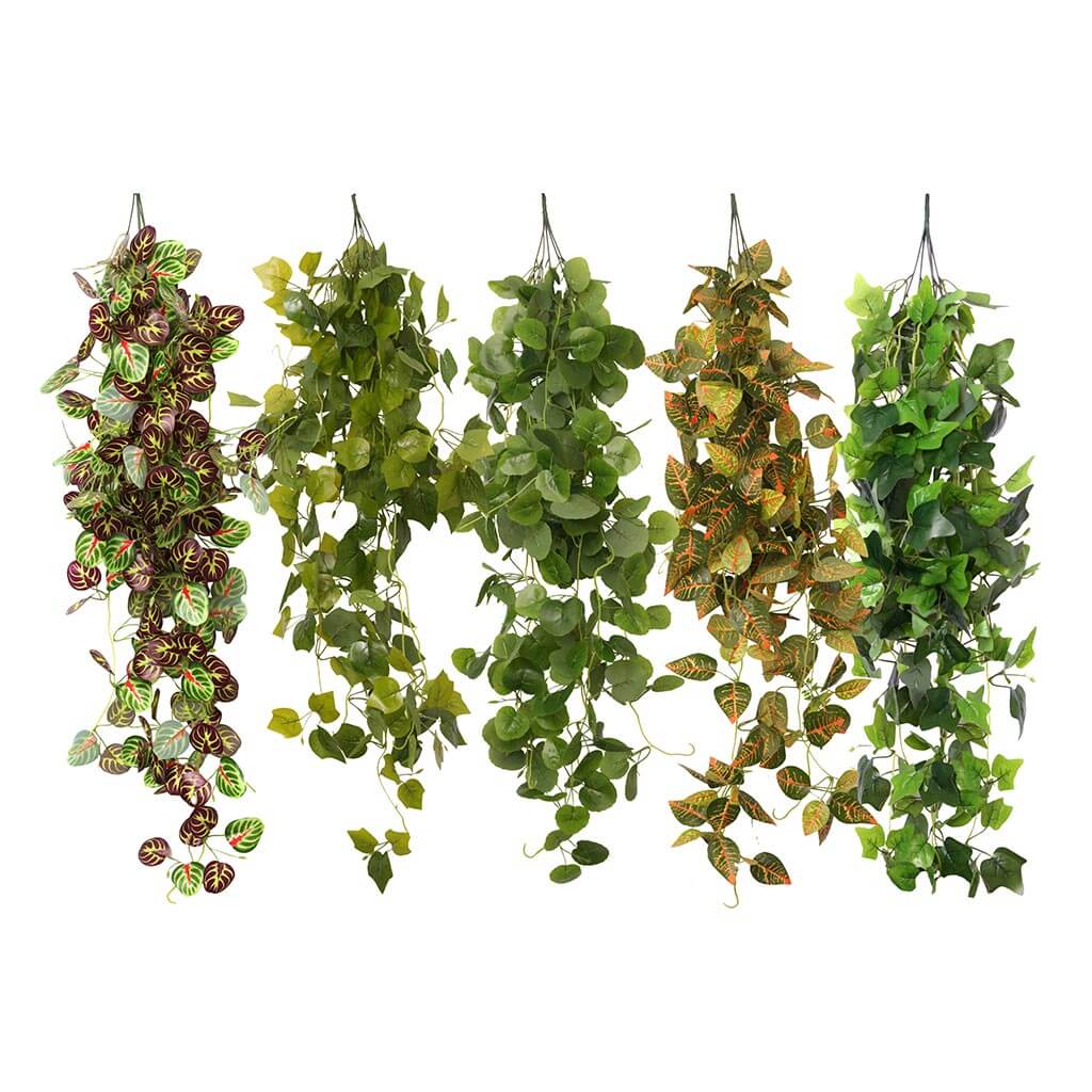 Hanging Vine Plus