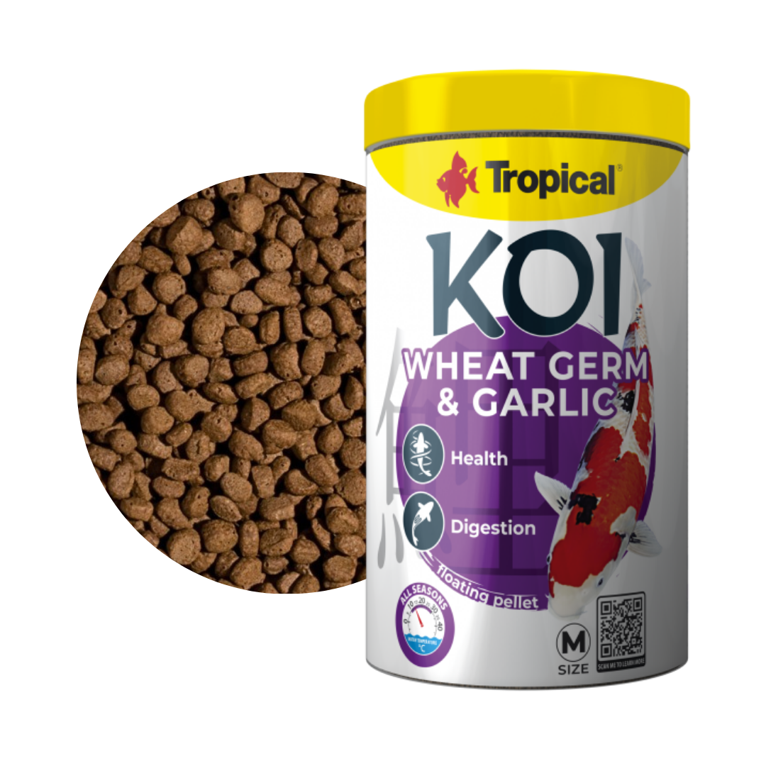 Koi Wheat Germ & Garlic Pellet Size "M" & "L" Koi Wheat Germ & Garlic Pellet Size "M" & "L"