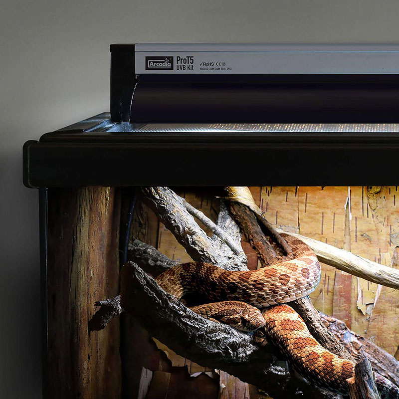 prot5-uvb-kit-lighting-snakemLSqJ8b8rXCE1