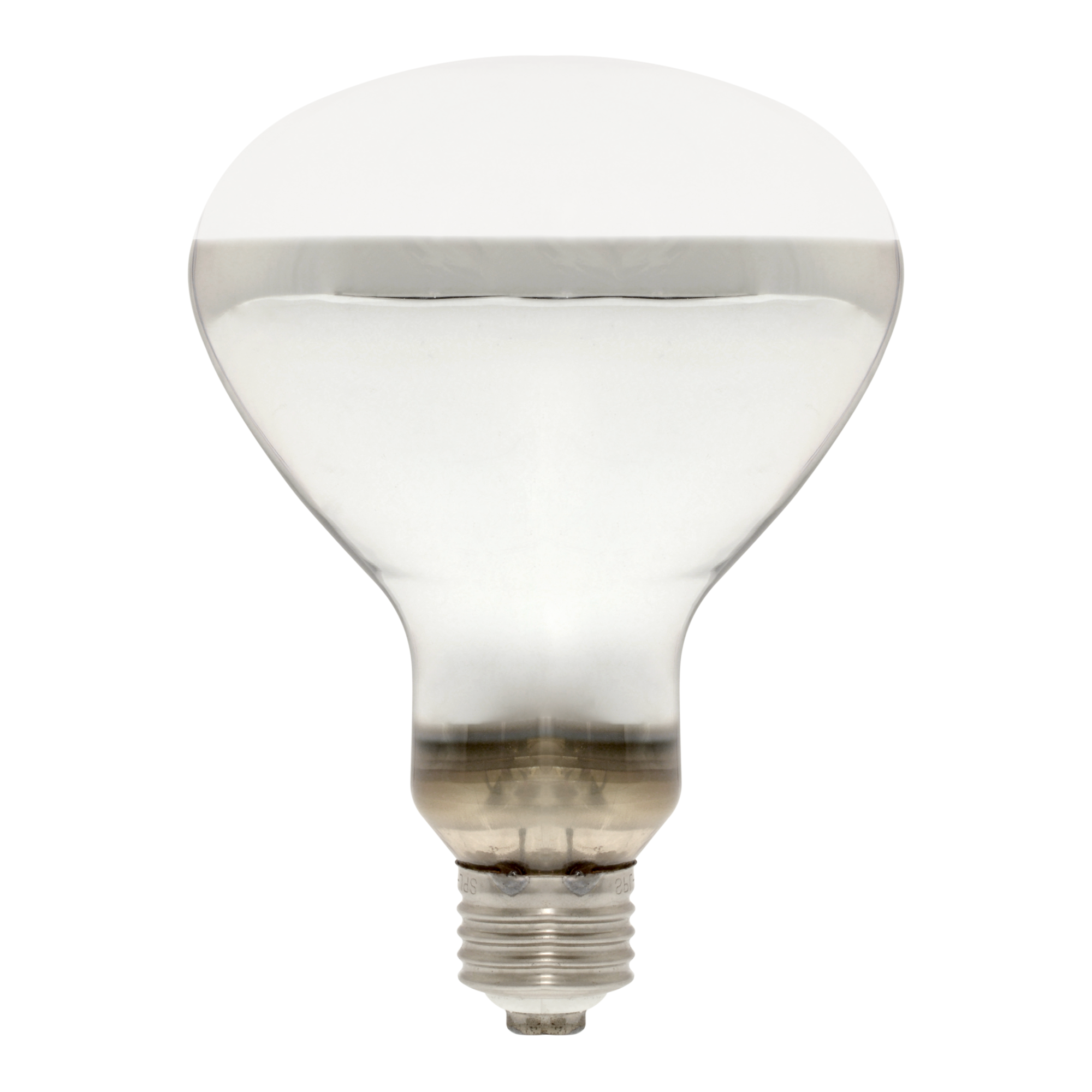Mercury Vapor Basking Lamp