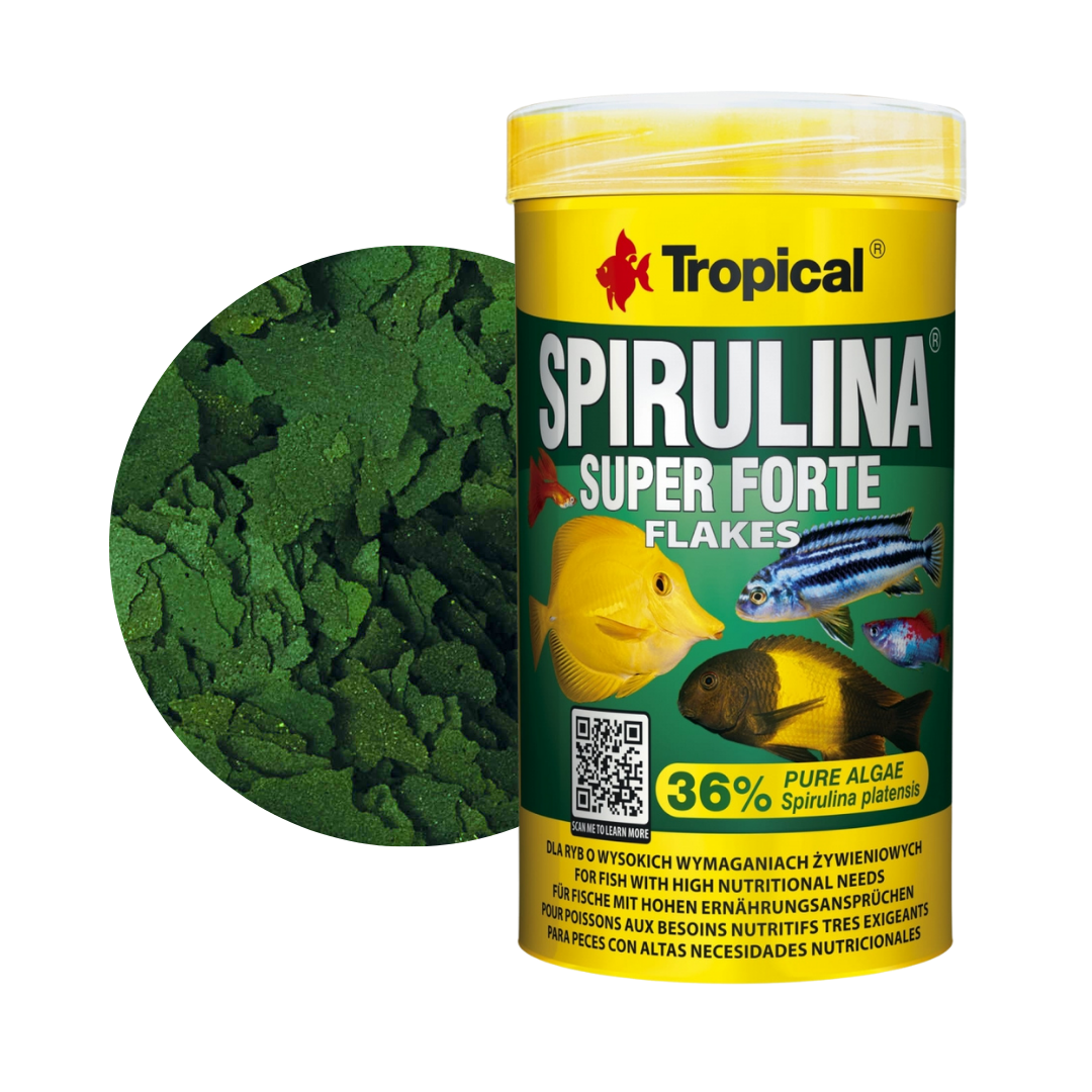 Super Spirulina Forte Flakes