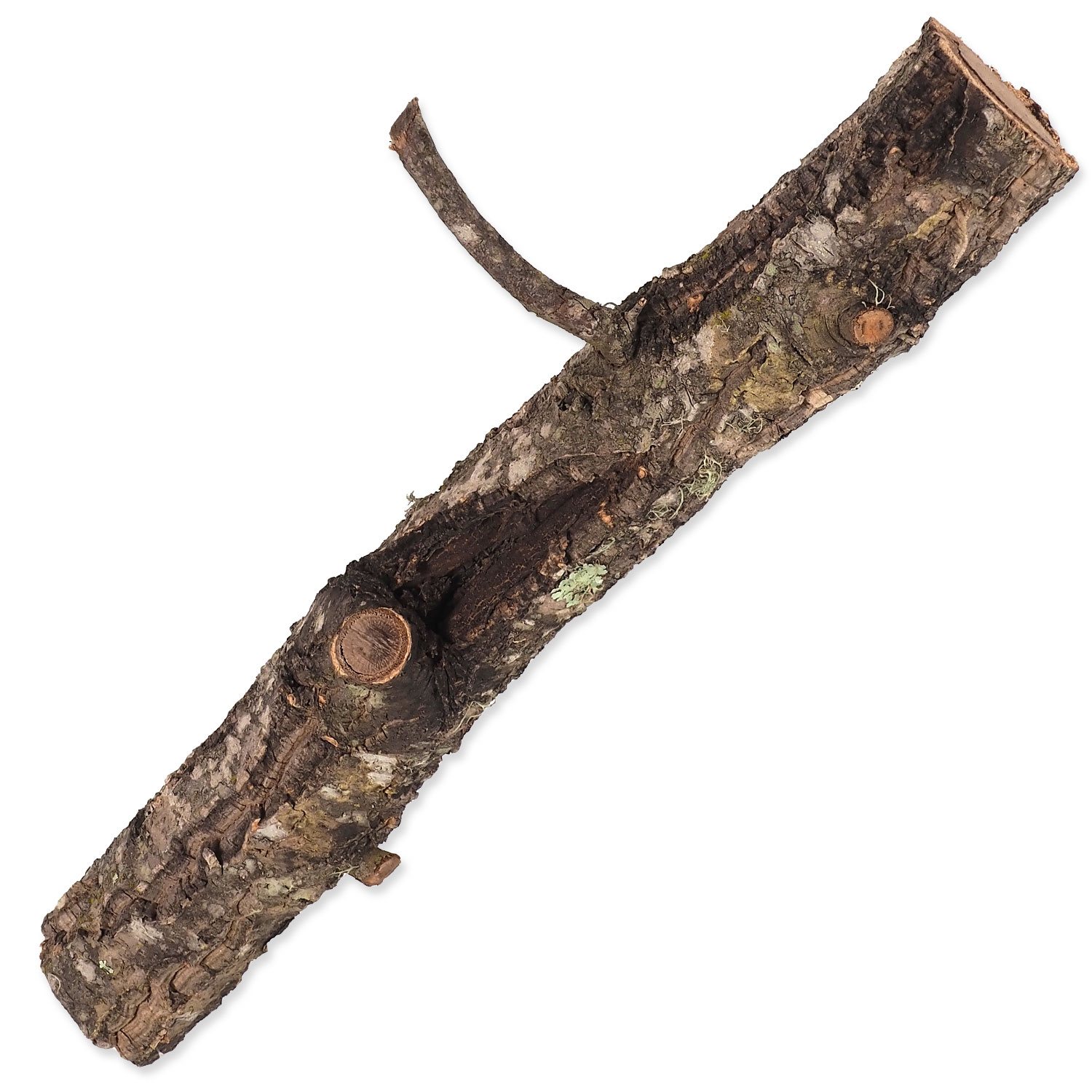 Cork branch