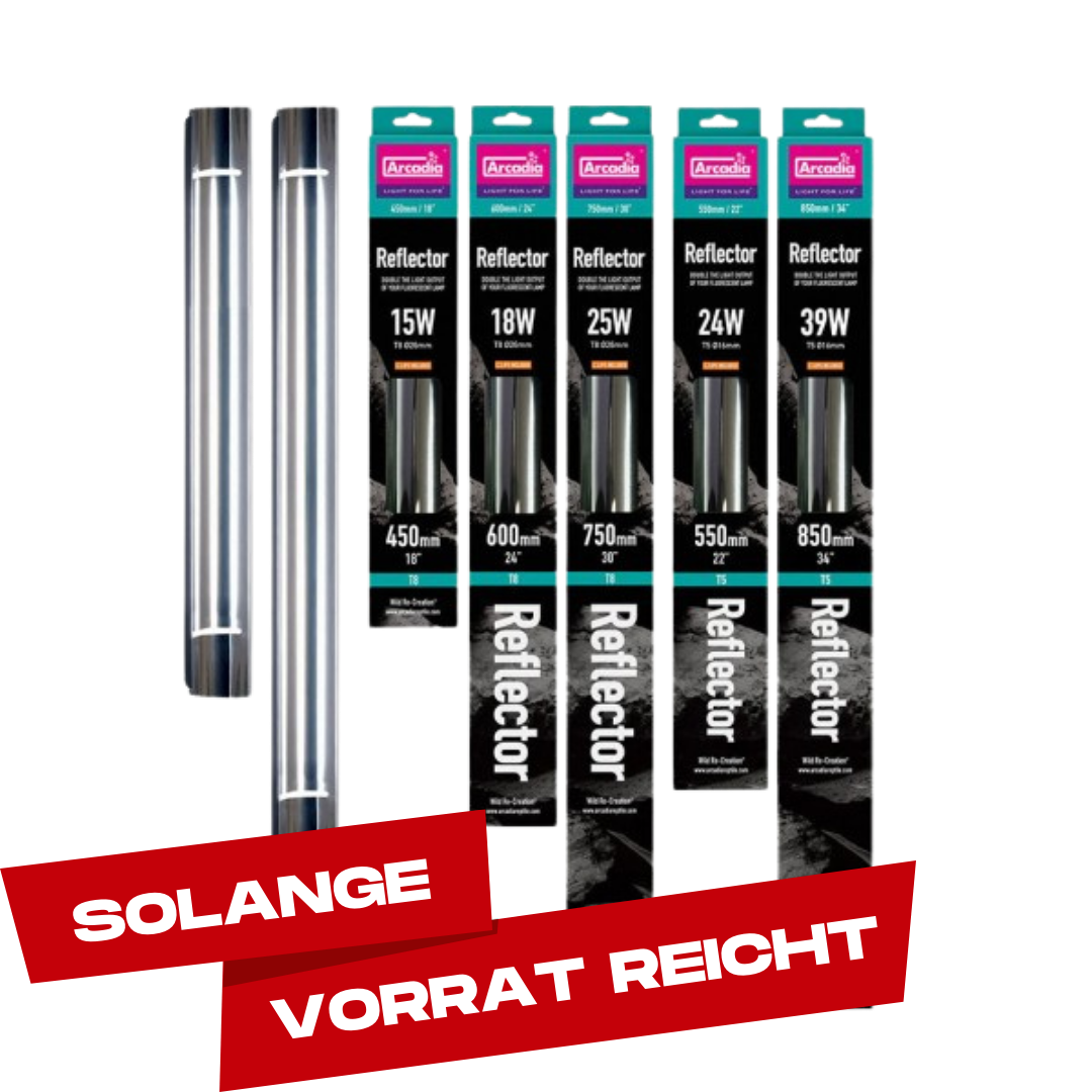 T5 Reflektor - SOLANGE VORRAT REICHT!