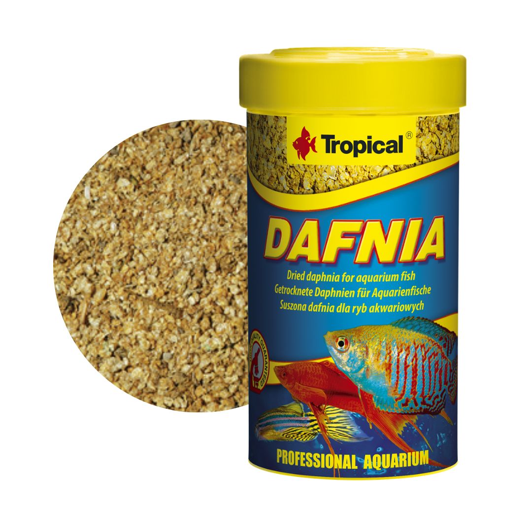 Dafnia