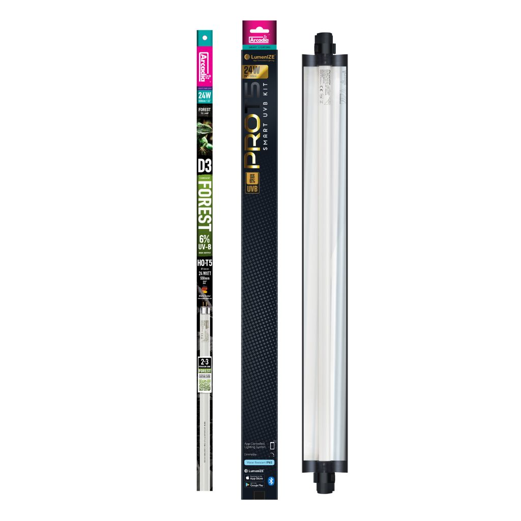 RARLZ24FX_3 LumenIZE ProT5 D3 Forest 6% UV-B