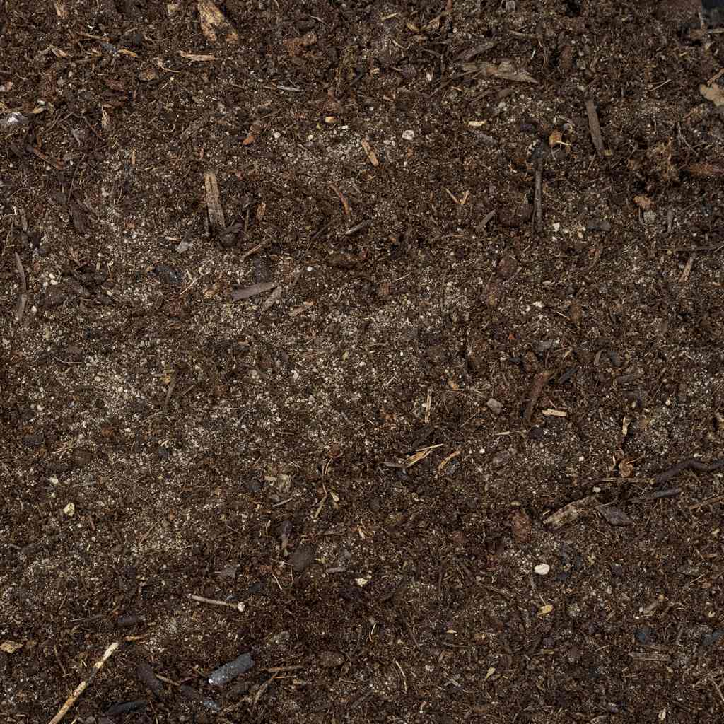 Spider Substrate
