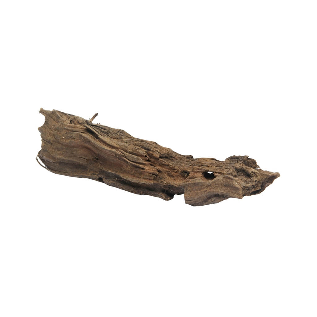 Driftwood