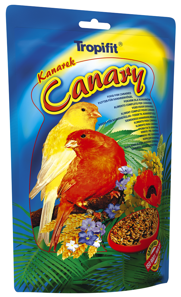 Canary