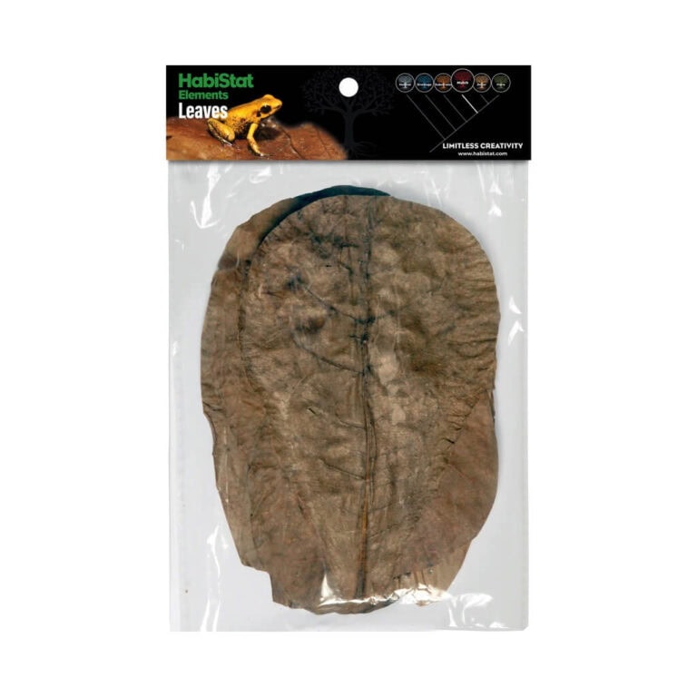 Catappa Leaves, 10er Pack